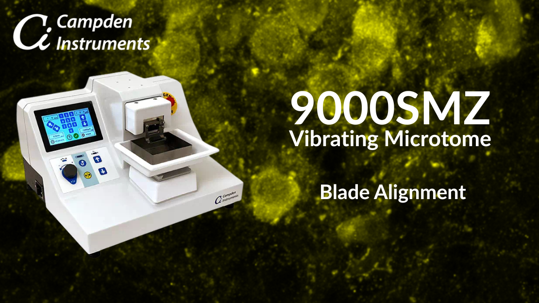Video screen of 9000SMZ Blade Alignment